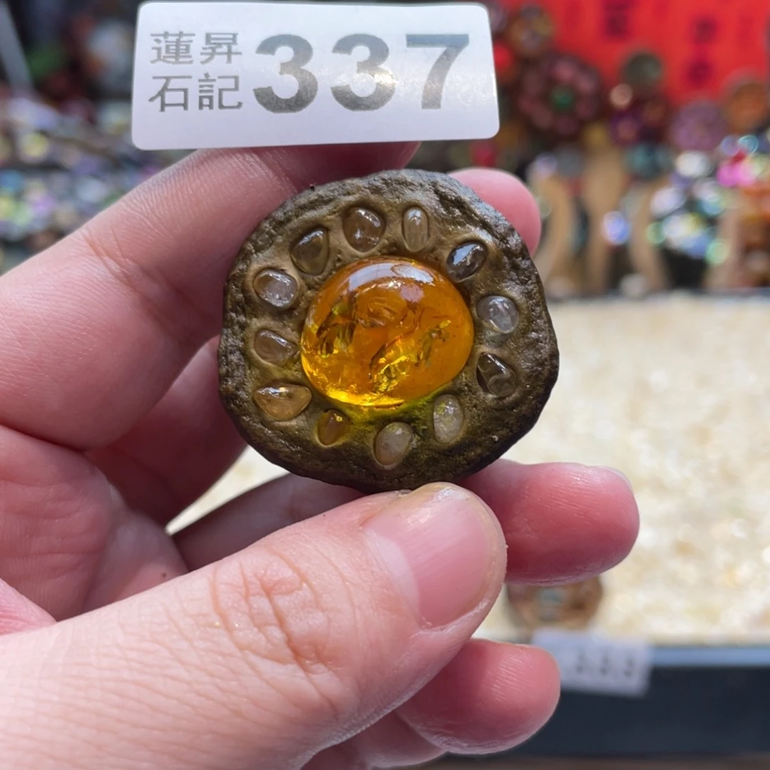 核桃木/黑胡桃（胡桃木）337