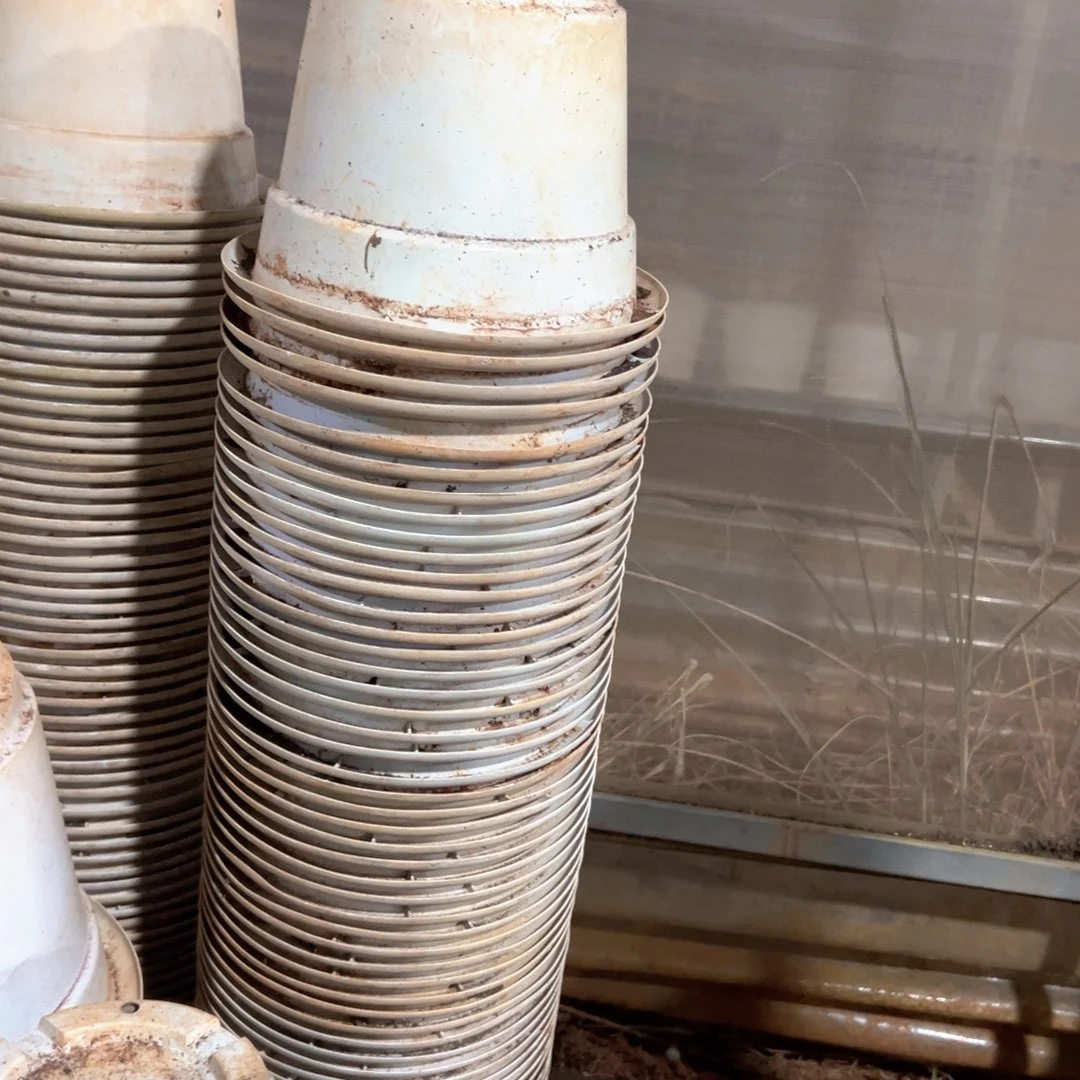 白高端圆盆20口径15高 10个