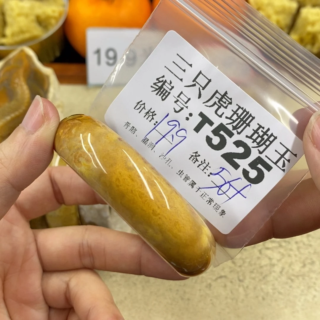 硅化珊瑚（珊瑚玉）1未镶嵌墨*
