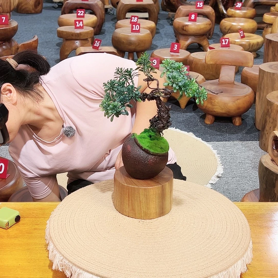 号香樟木尺寸：13-13-8cm