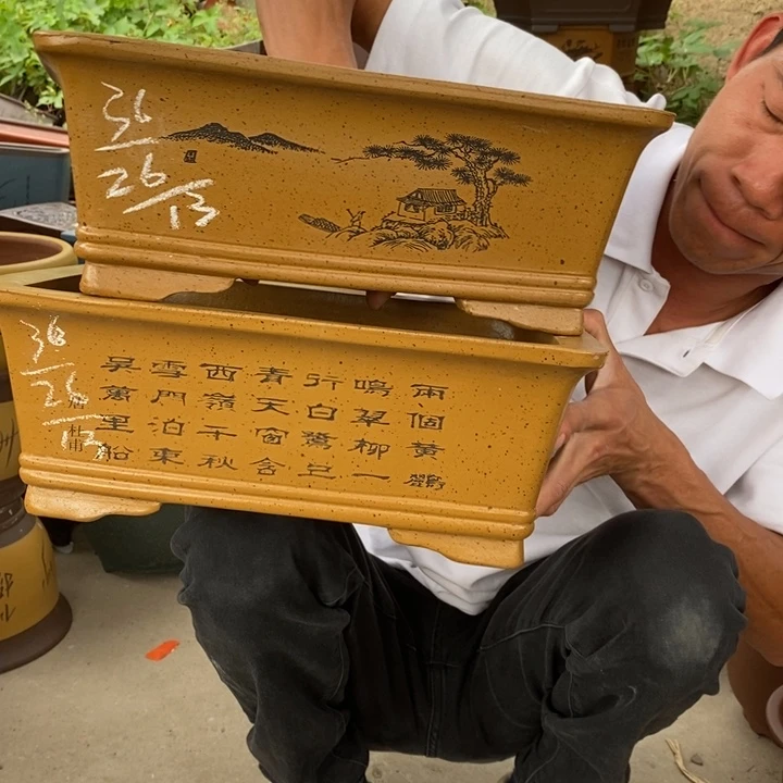 紫砂紫砂紫砂紫砂