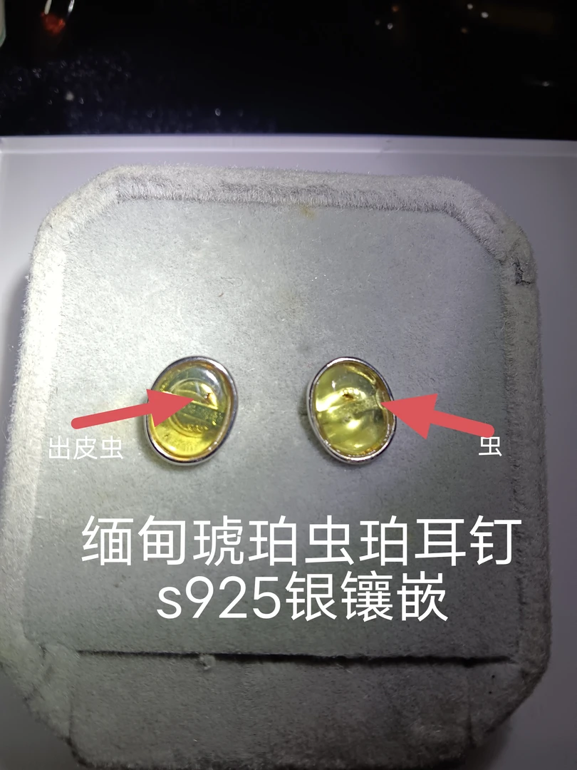 缅甸天然琥珀虫珀耳钉s925银镶嵌有个出皮小虫金珀小虫女士轻奢