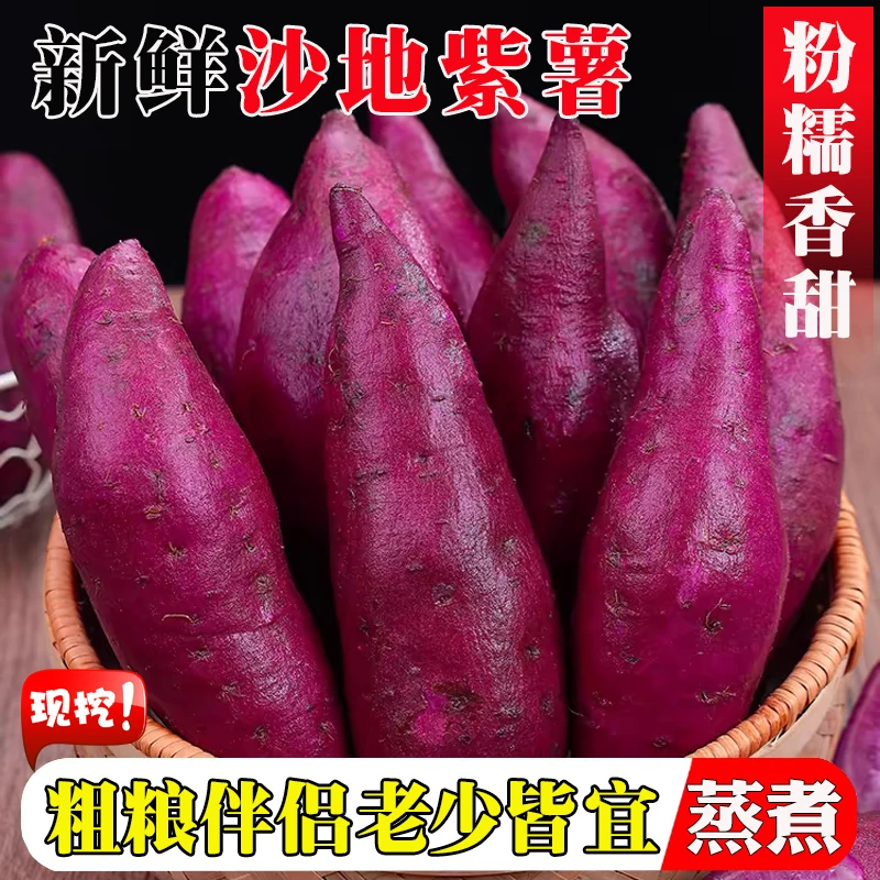 新鲜紫薯农家现挖沙地紫罗兰红薯3斤5斤9斤粉糯香甜农家沙地蜜薯
