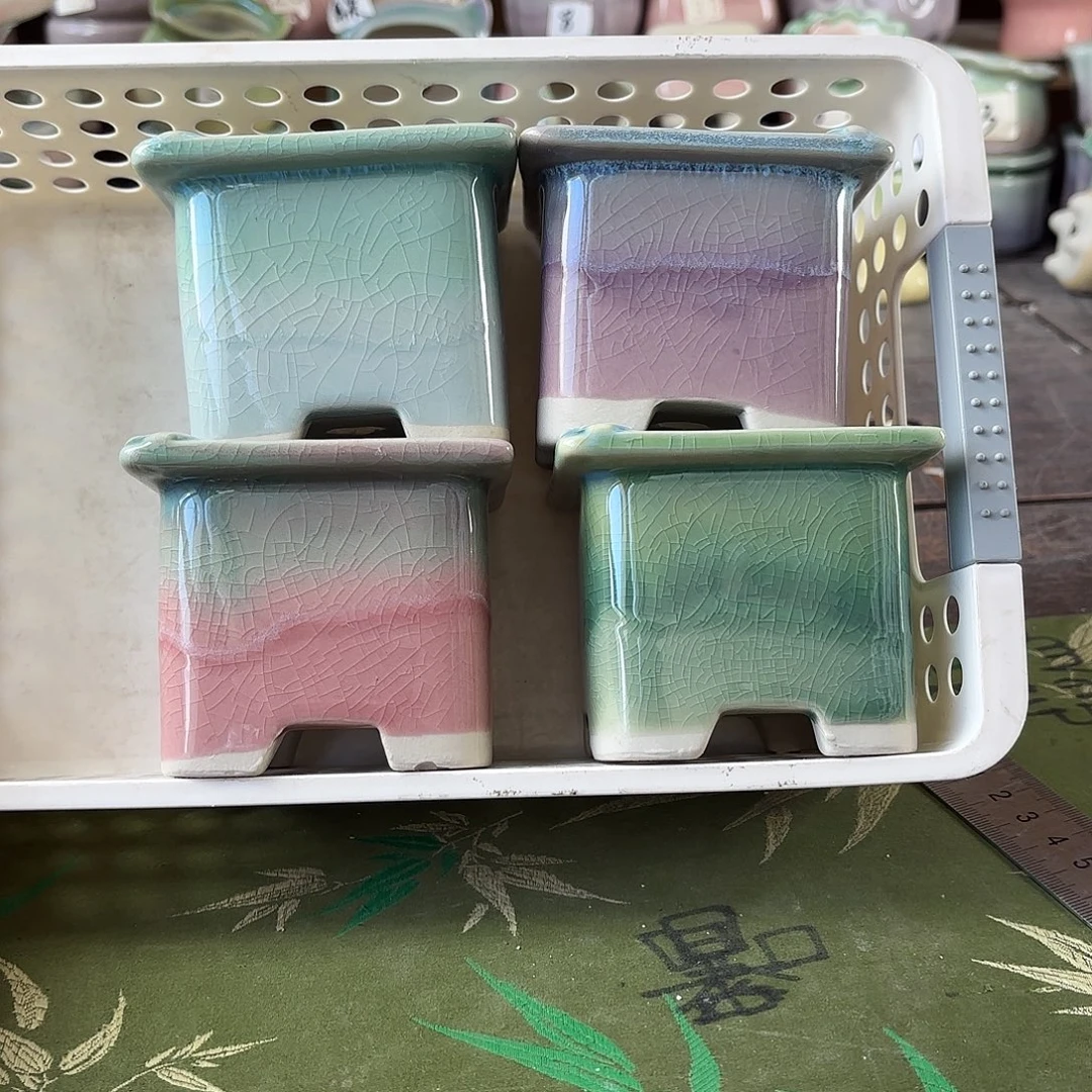 量货/5口高7深浅搭配发4个