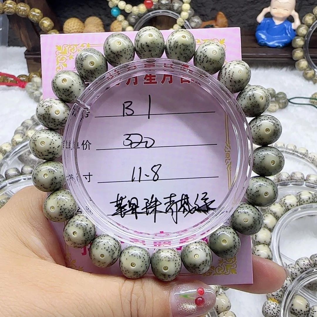 心月星月菩提一号B1