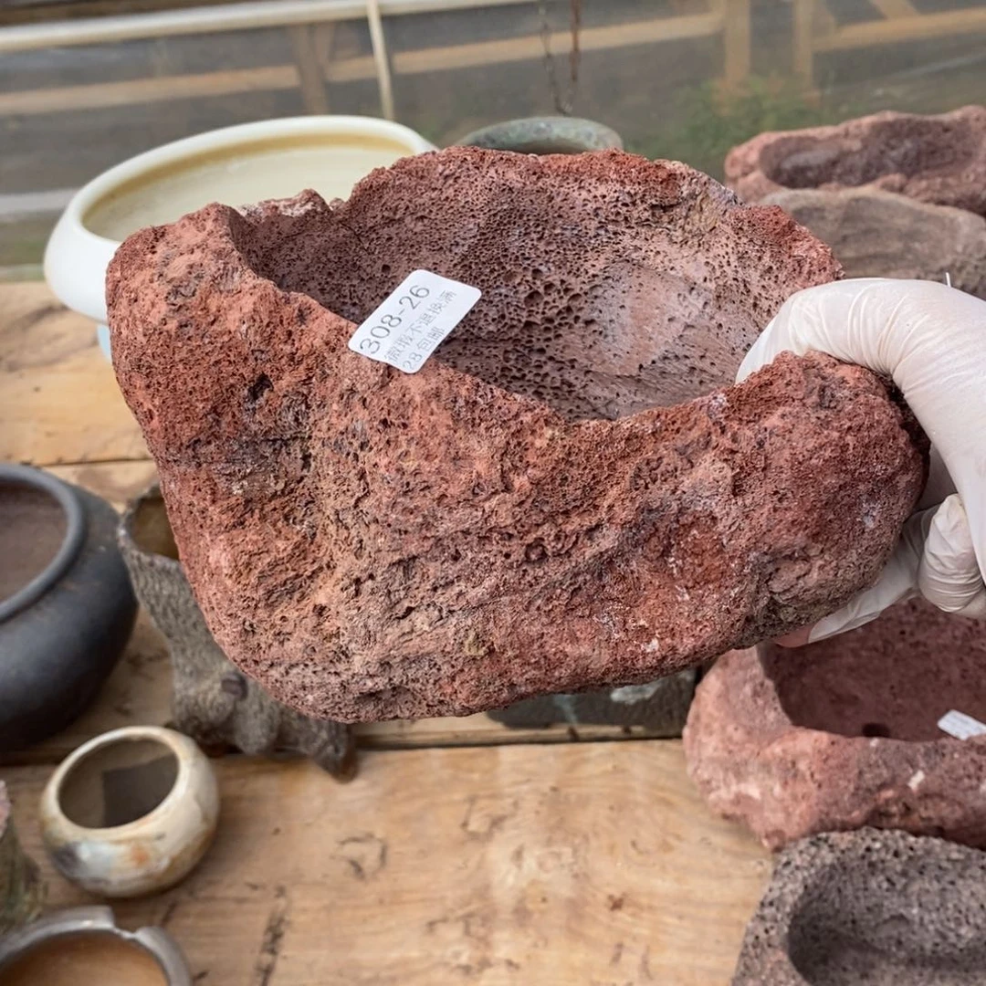 红陶黑*26号多肉盆一个呀