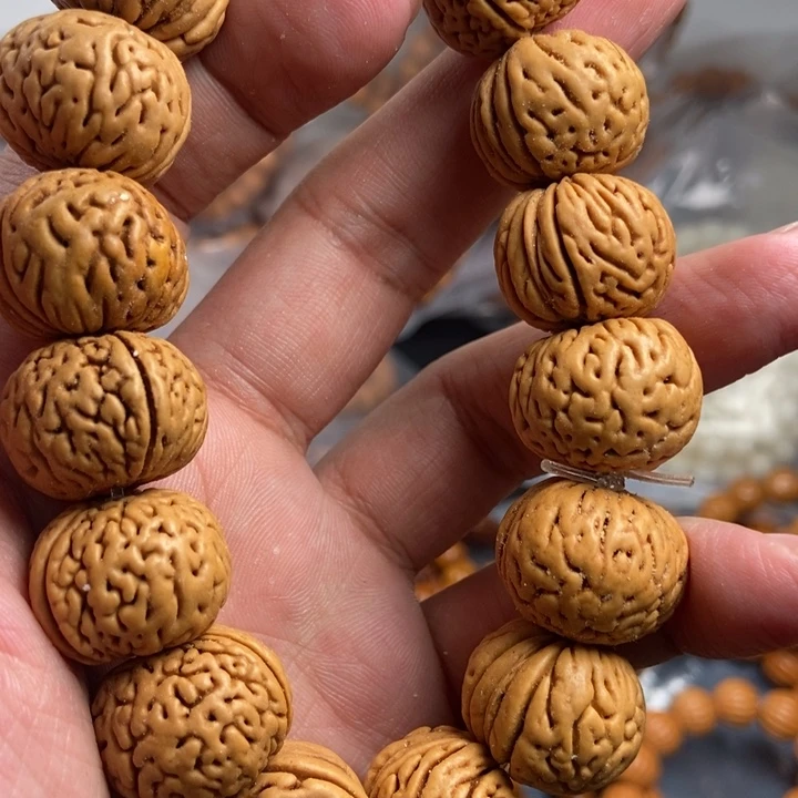 菩提根/象牙果吊坠今天