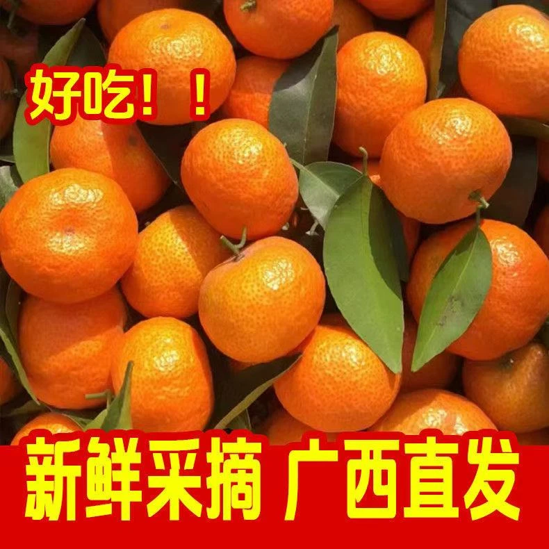 正宗广西砂糖橘薄皮橘子纯甜现摘当季鲜果批发零售整箱装