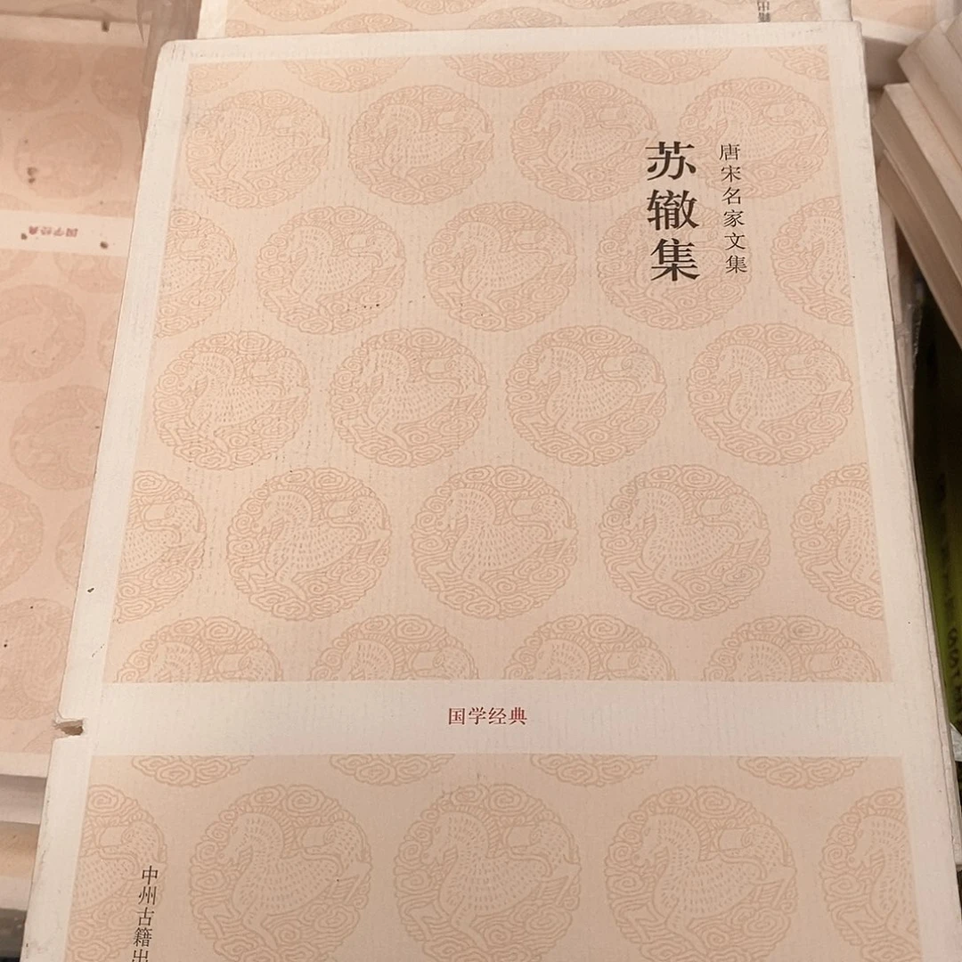 瑕疵锯口  苏辙集……