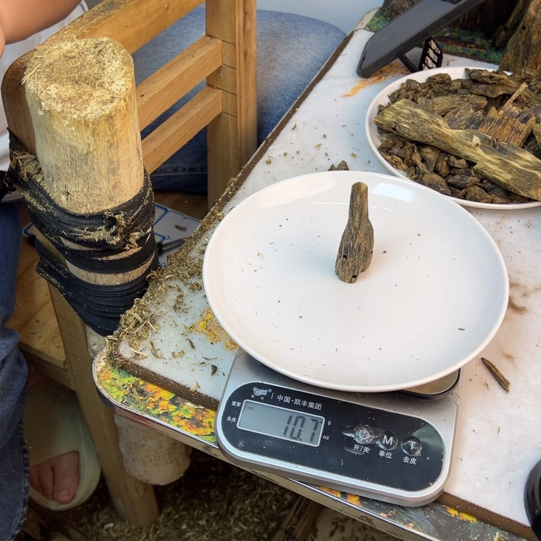 线香奇楠虫漏香10克