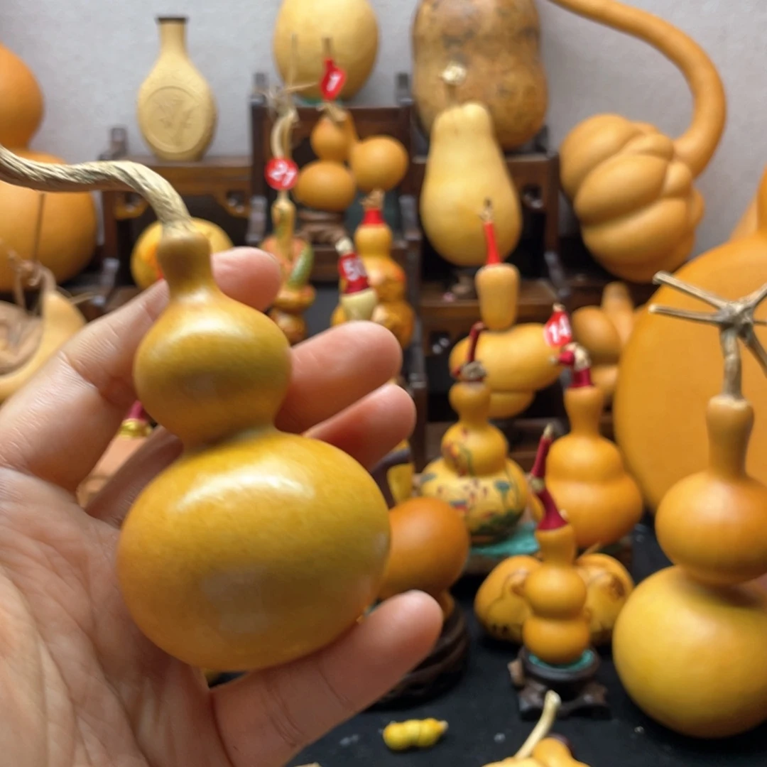 邹*吉大自然的秘密第十节第