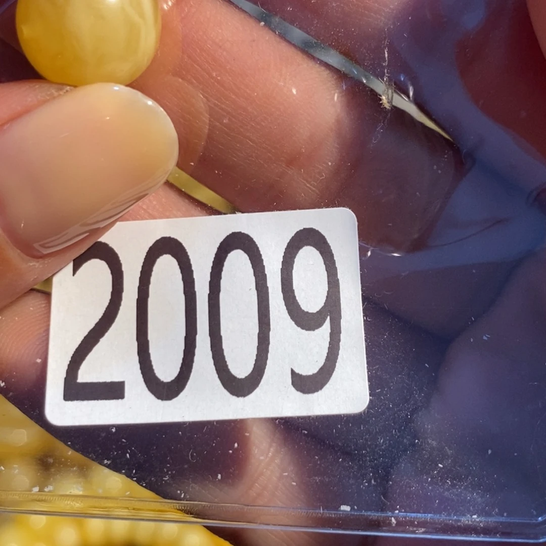 未镶嵌琥珀珠宝奇石2009