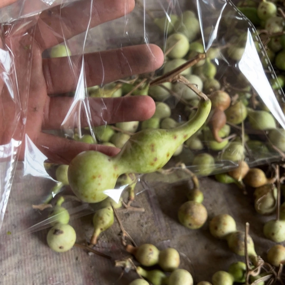 感谢大哥支持兄弟