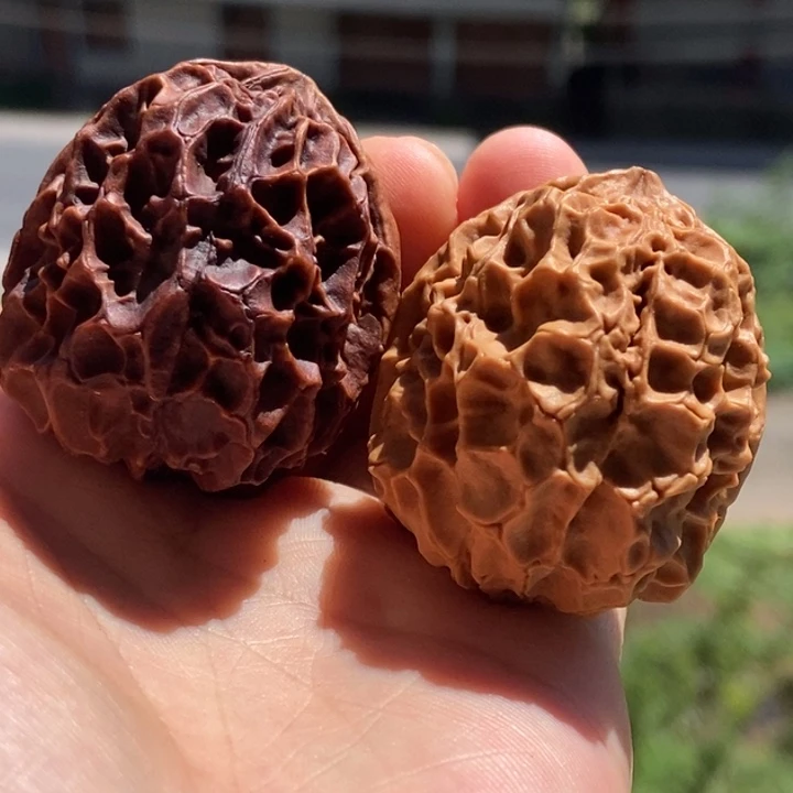 把件文玩核桃凤凰牡丹46