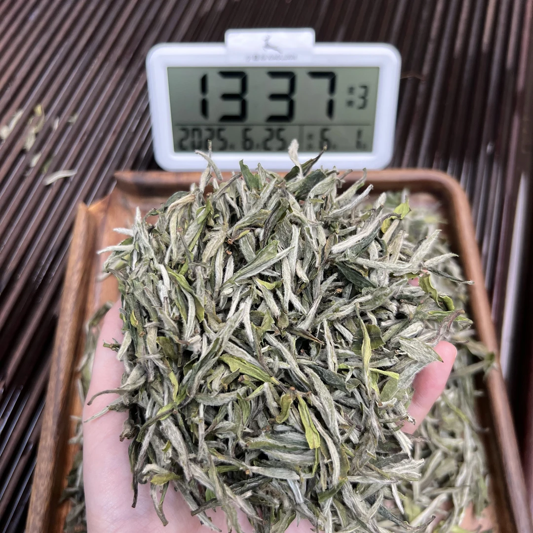 2025牡丹王 ① 小鹿收茶 福鼎白茶 6月25/2