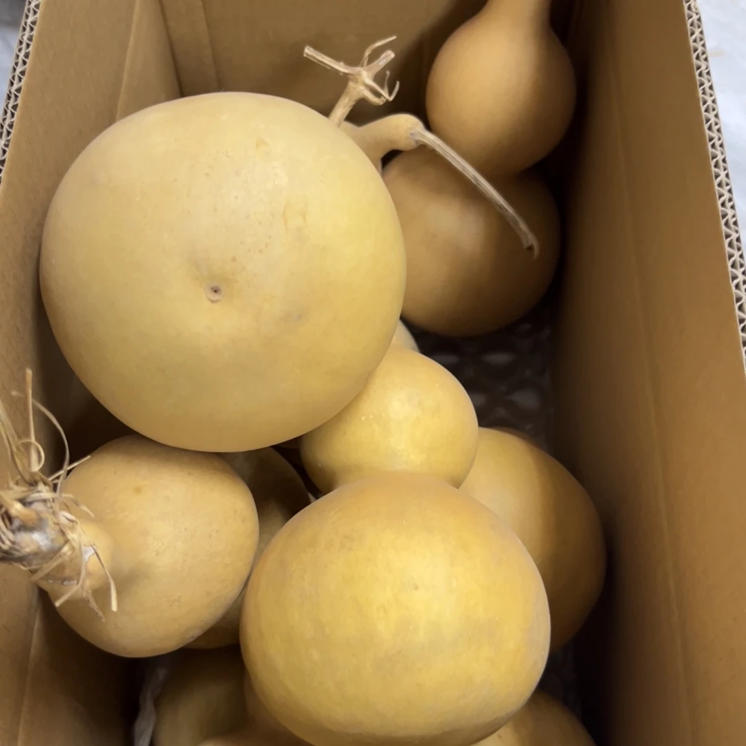 开****有机玻璃葫芦葫芦