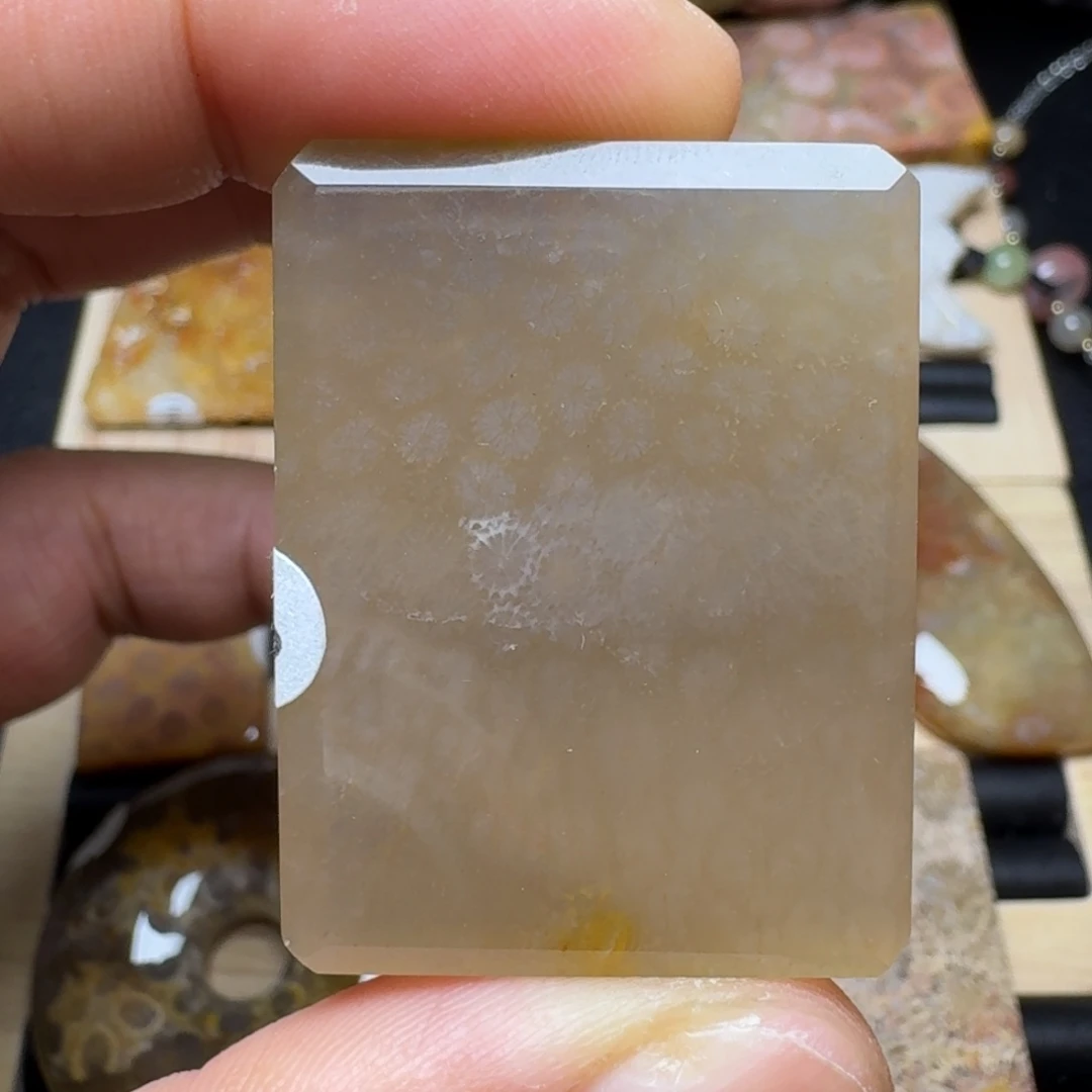 未镶嵌纯天然色有机玉石保真色硅化玉