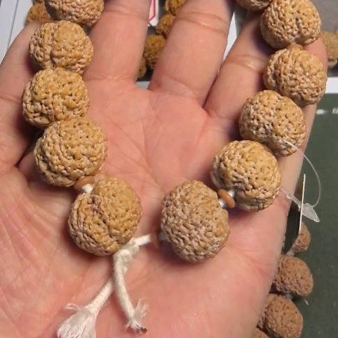 手串金刚菩提菠萝蜜大金刚手串，全品无黄，没有歪籽。
