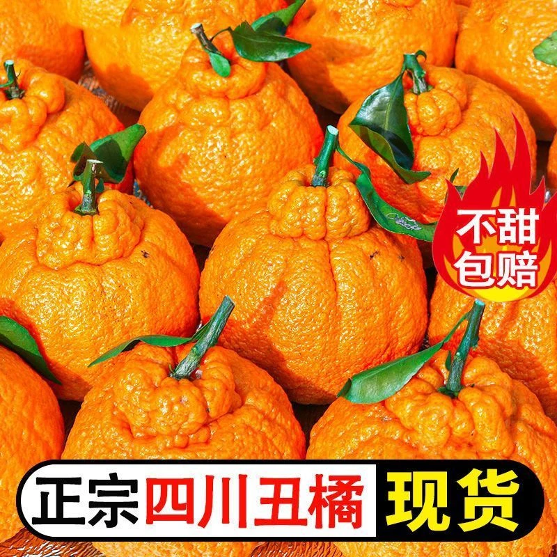 C 正宗四川丑桔丑橘子水果新鲜应季批发5斤整箱