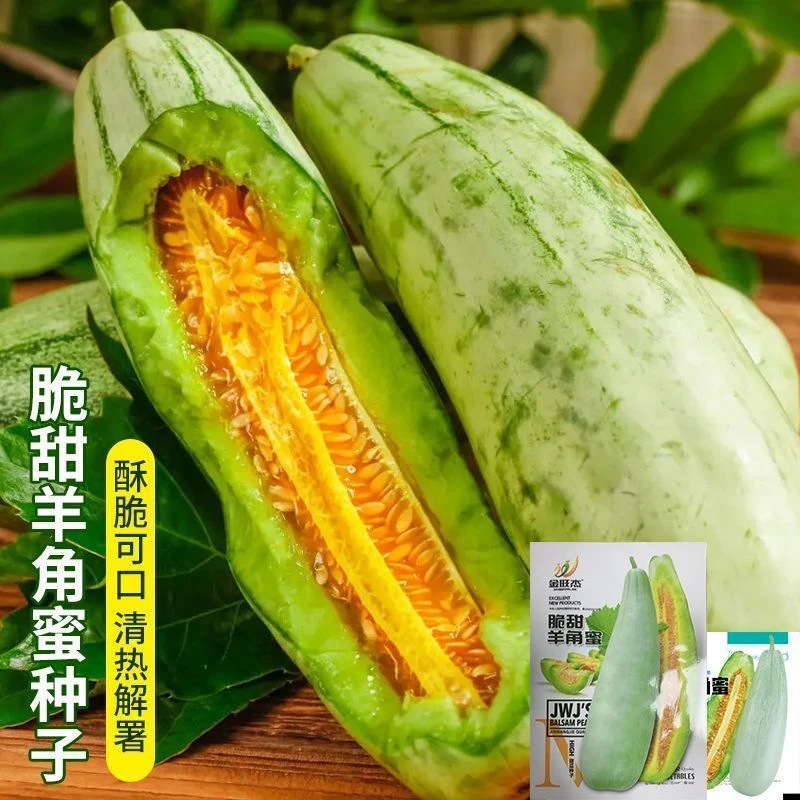 【当季新种】正品羊角蜜种子瓜酥甜瓜种子种籽苗蔬菜孑秧脆高产蔬菜