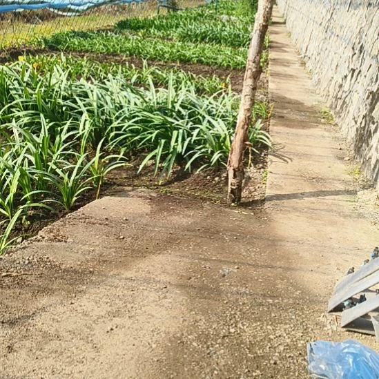 讨***菜完全开放紫金4左右带侧