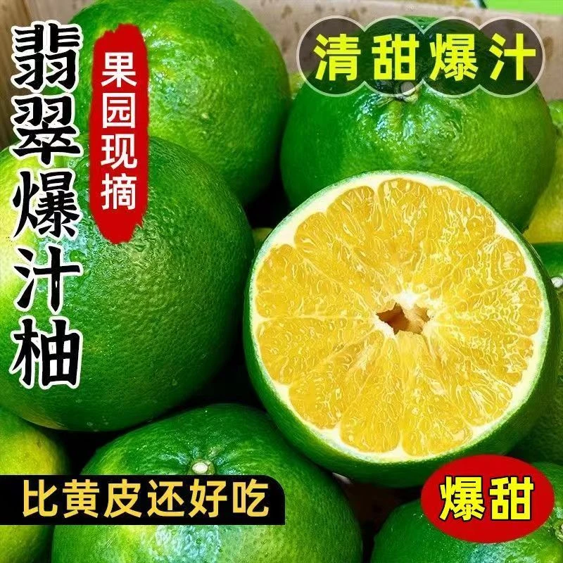 【翡翠柚】福建爆汁青皮葡萄柚新鲜当季孕妇水果甜蜂蜜柚大果