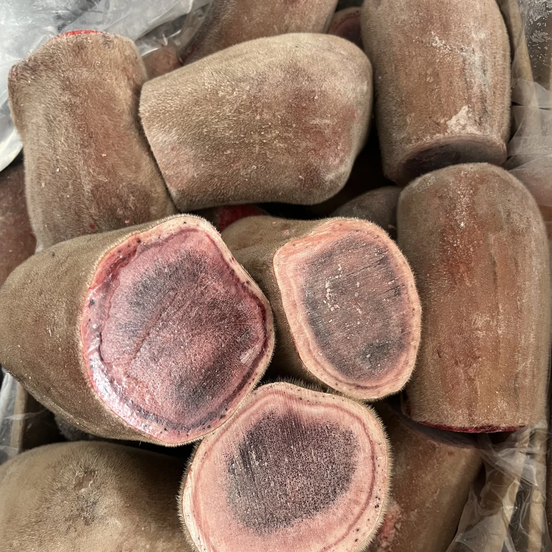 梅花鹿鲜鹿茸主枝切中段 特价鲜嫩 一斤起拍 炖汤泡酒东北特产