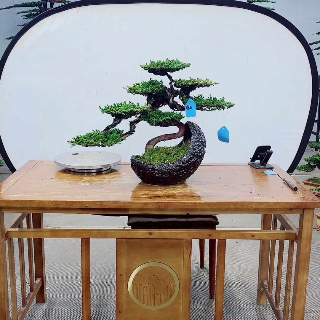 无花朵直播间一物一拍