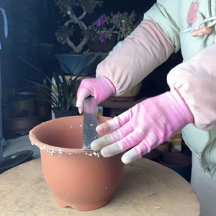 紫砂宜兴紫砂花盆78