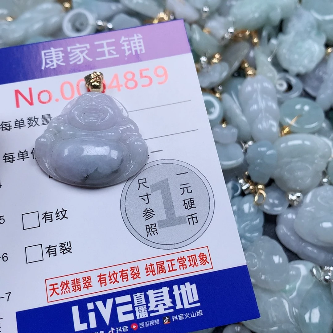 颈饰未镶嵌翡翠v