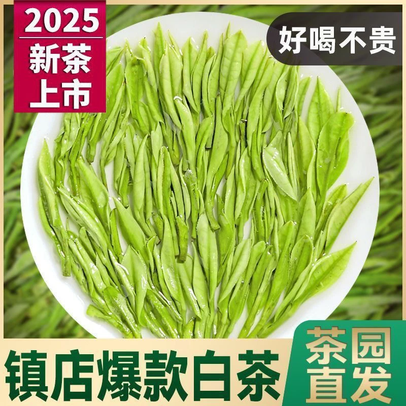 新茶白茶特白高山茶今年新茶2025年