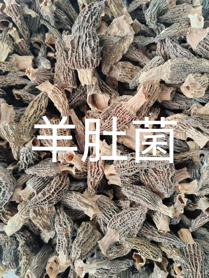 农家自种羊肚菌（尝鲜价）【炖鸡汤 排骨汤】