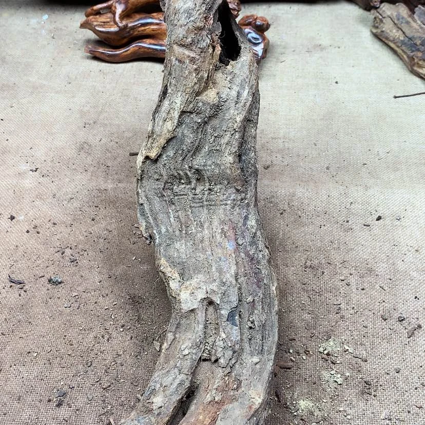 【闪购商品】黄花梨/降香黄檀美**界原材料供应充足