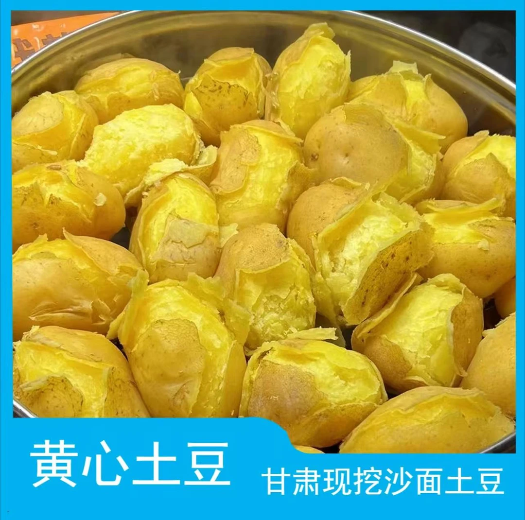 黄土高坡甘肃定西黄心土豆,洋芋,马铃薯,5斤/9斤,包邮,坏果包赔