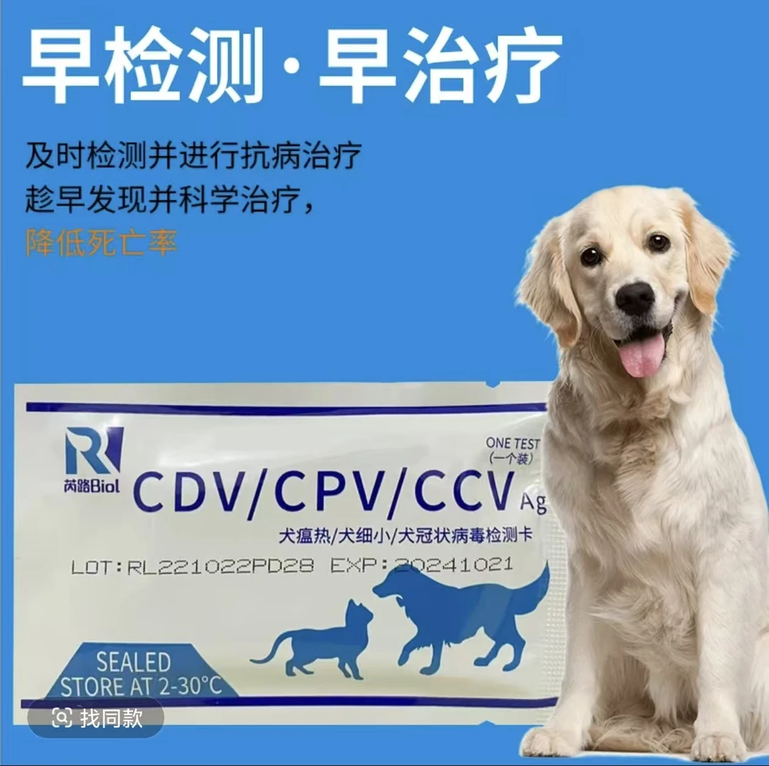 宠物犬瘟测试试纸