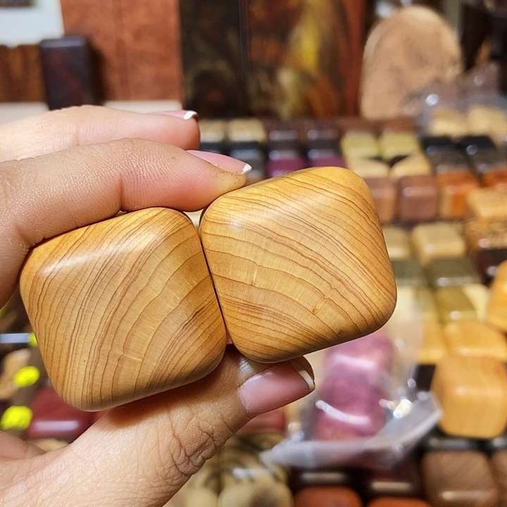 围***众木木木木木木木木木木