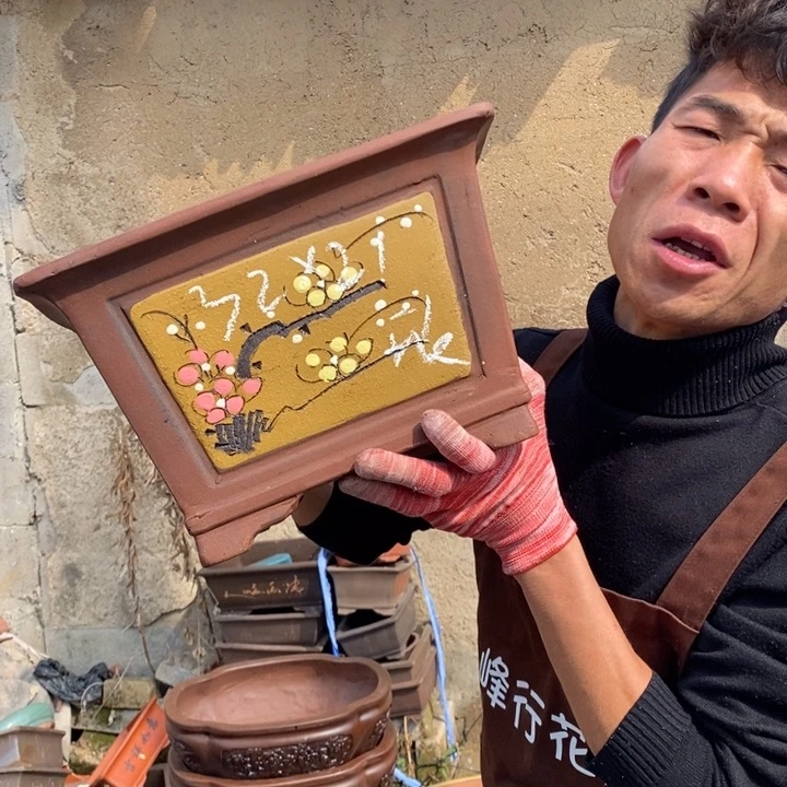 紫砂花盆的一天都是这样了