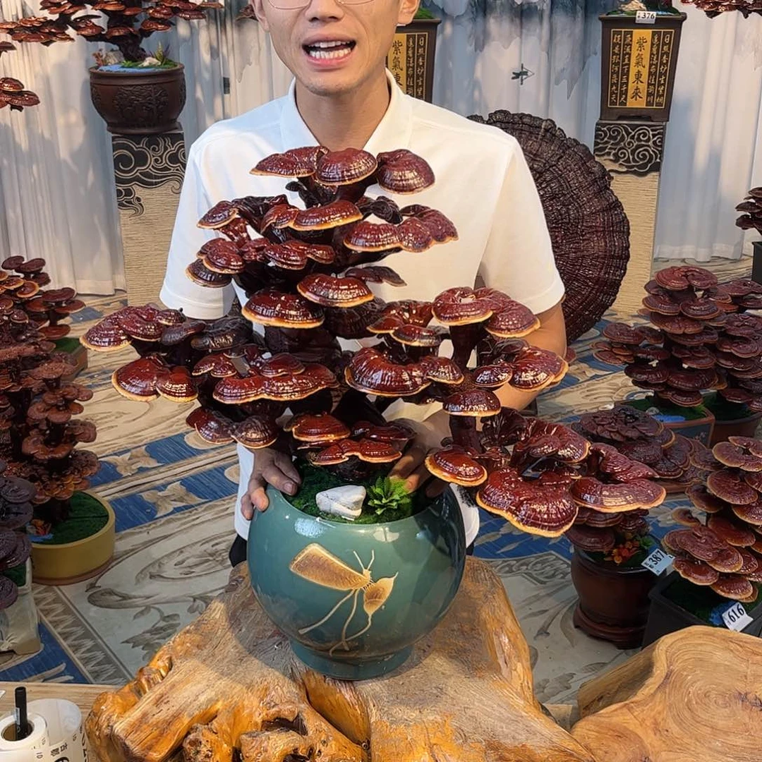 全部花朵88888888888888