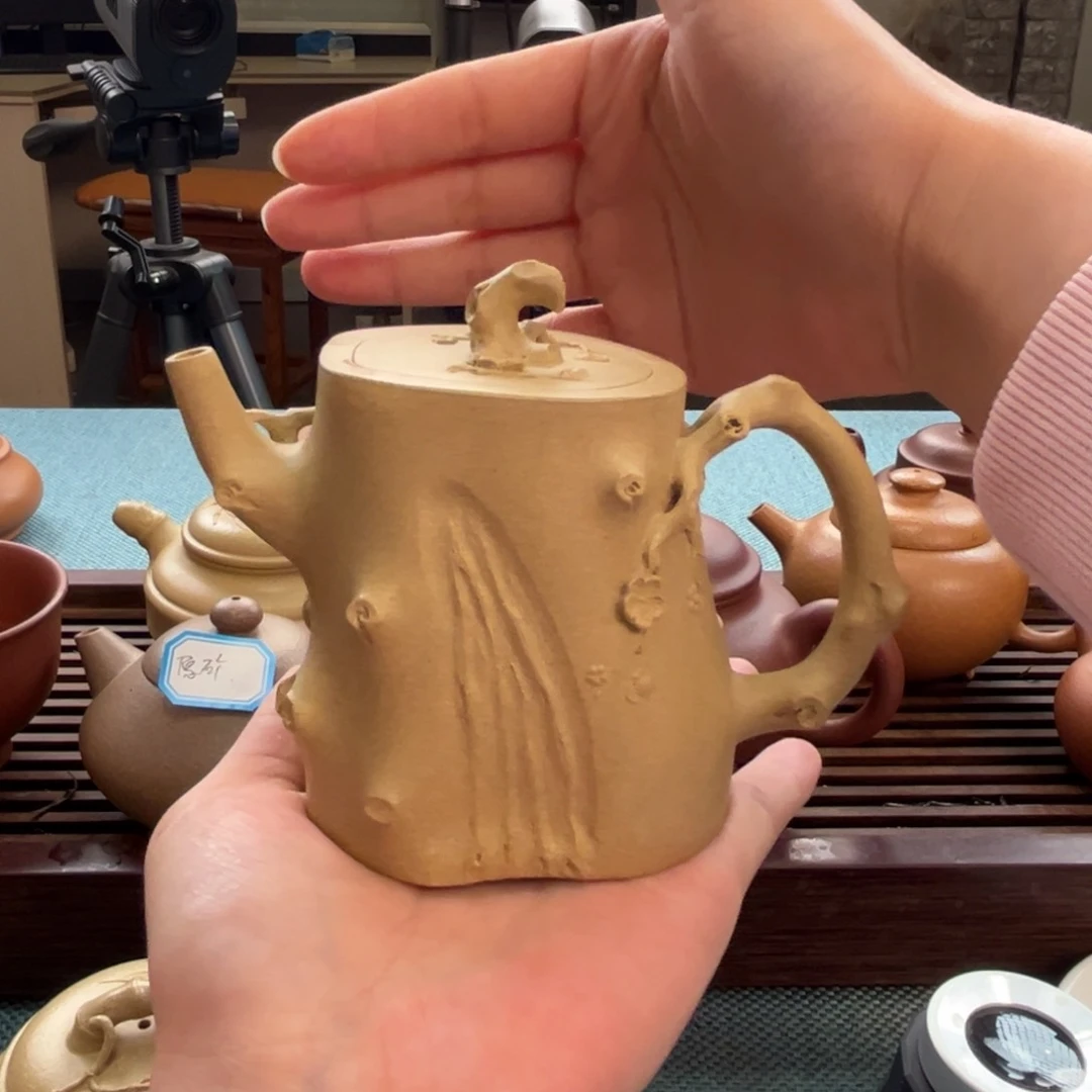 茶壶紫砂｛****｝本绿树桩