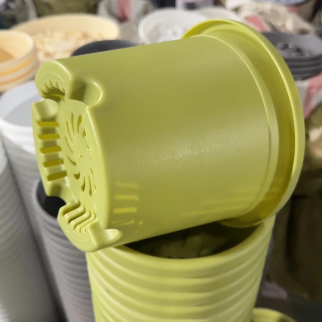 四季2号果绿色10套