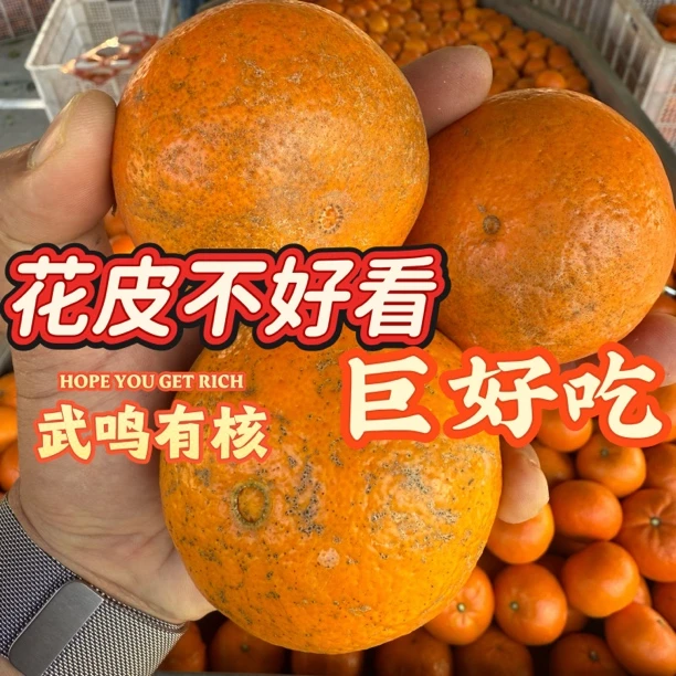 【偏冷地区】花皮生态 不泡保鲜剂不打蜡果味香甜浓郁！