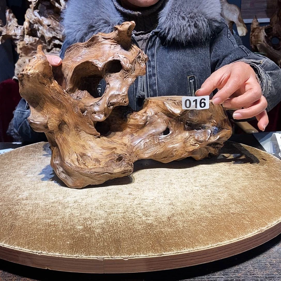 @***y016。株木随行根艺