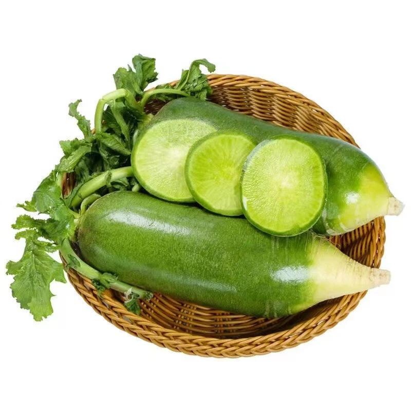 山东水果萝卜新鲜甜脆水果型