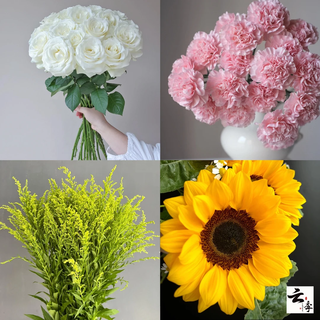 【云季花卉】【白玫瑰组合】骄傲10支+粉康乃馨10支+向日葵2支+配草