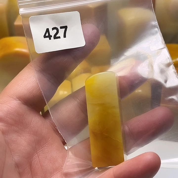游***鱼老挝石老挝石北部黄