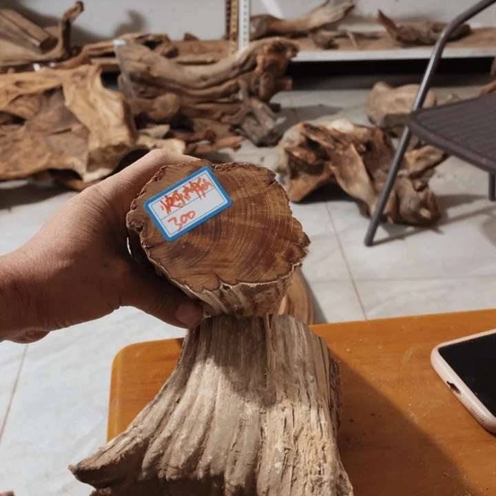 有机玻璃快**仙木木木木木木