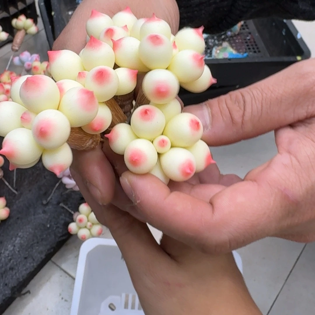 小****树脂制品33号一筐