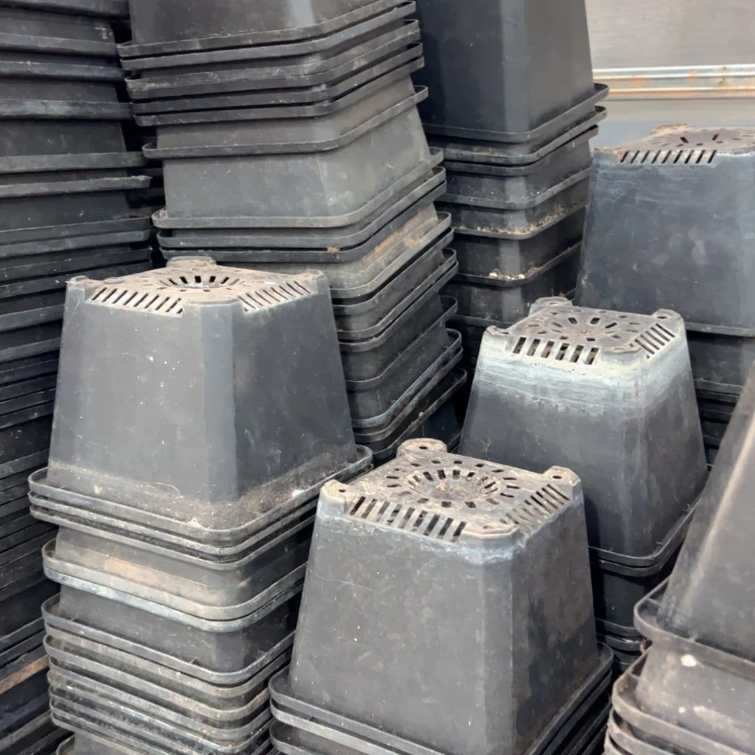 黑方140盆13.5口径10高 20个