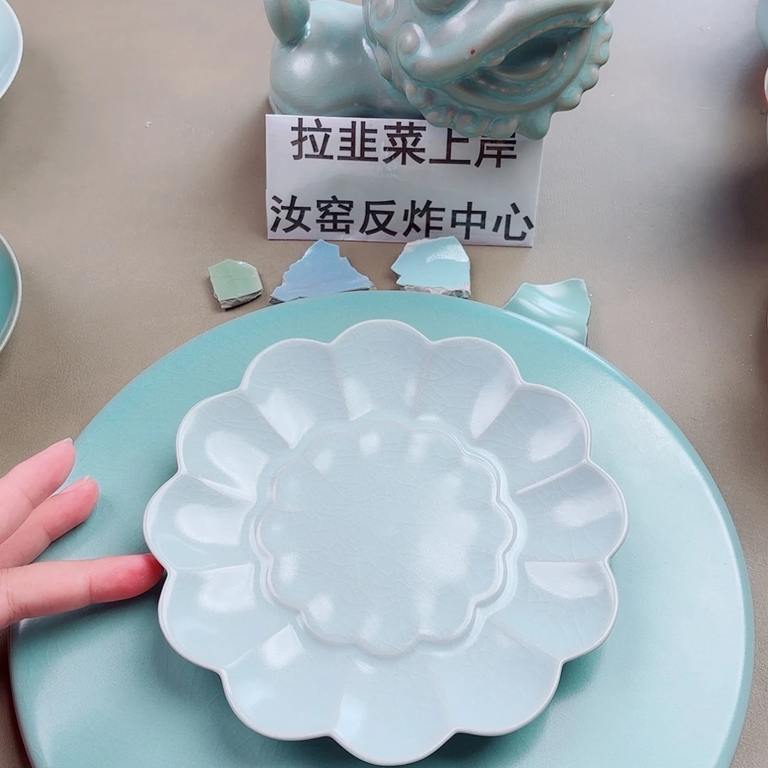 J***Z陶瓷片与王同行，汝你所愿