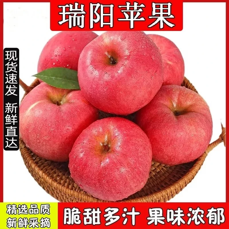 甘肃正宁 瑞阳苹果新鲜现摘现发当季应季脆甜多汁水果